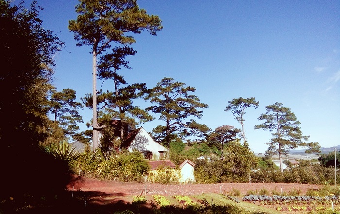 dalat, vietnam